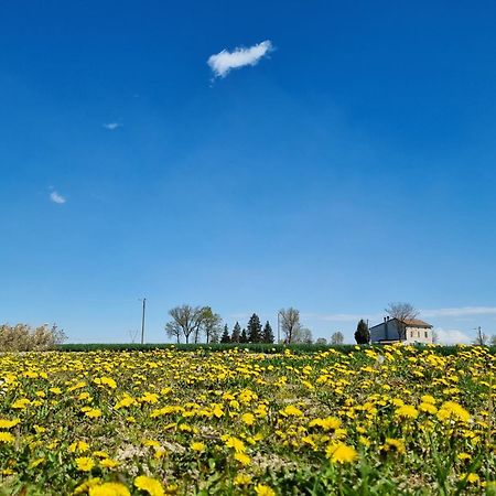 サーレ Antico Pioppo Bed & Breakfast エクステリア 写真